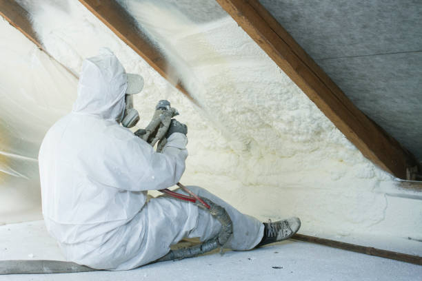 Types of Insulation We Offer in Americus, GA